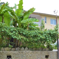 Гостевой дом Горец , Гагра