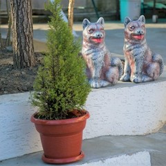 Гостевой дом Горец , Гагра