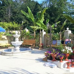 Гостевой дом Горец , Гагра