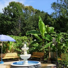 Гостевой дом Горец , Гагра