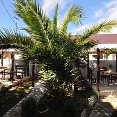 Гостевой дом У Руслана, Гагра