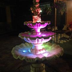 Гостевой дом Коралл, Гагра