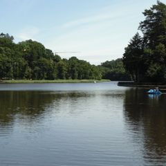Апартамент Светлогорский Бриз, Светлогорск, Калининградская область