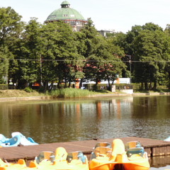 Апартамент Светлогорский Бриз, Светлогорск, Калининградская область