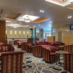 Гостиница Мега Палас / Mega Palace Hotel, Южно-Сахалинск, Сахалинская область