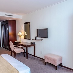 Гостиница Мега Палас / Mega Palace Hotel, Южно-Сахалинск, Сахалинская область