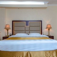 Гостиница Мега Палас / Mega Palace Hotel, Южно-Сахалинск, Сахалинская область