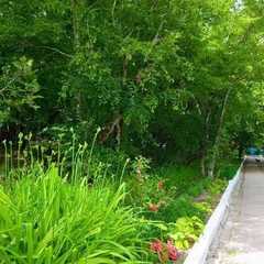 База отдыха Восход БО, Краснодарский край