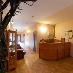 Гостиница Родина, Московская область