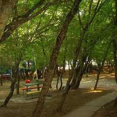 База отдыха Восход БО, Краснодарский край