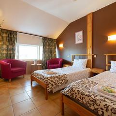 Гостиница Родина, Московская область