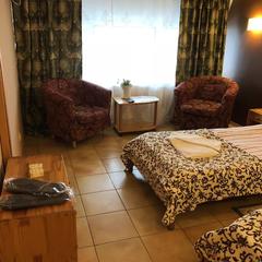 Гостиница Родина, Московская область