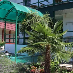 Отель Сочи Inn, Лазаревское, Краснодарский край