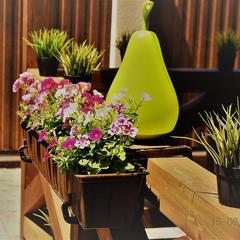 Гостевой дом Kesea, Геленджик, Краснодарский край