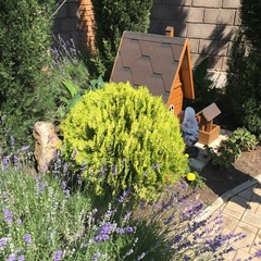 Гостевой дом Яни, Севастополь, Крым