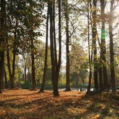 Санаторий Слободка, Тульская область