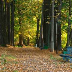 Санаторий Слободка, Тульская область