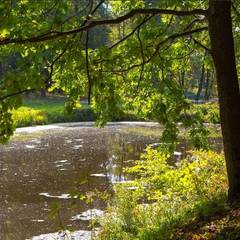 Санаторий Слободка, Тульская область
