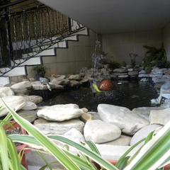 Гостевой дом Лукоморье, Геленджик, Краснодарский край