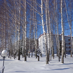 Санаторий Белорусочка, Минская область, Минская область