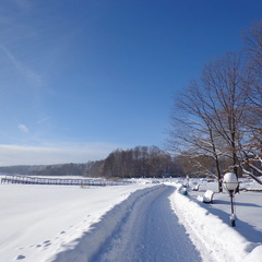 Санаторий Белорусочка, Минская область, Минская область