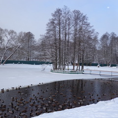 Санаторий Белорусочка, Минская область, Минская область