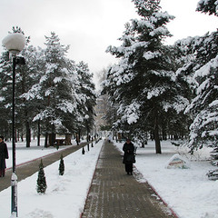 Санаторий Приднепровский, Гомельская область