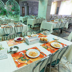 Санаторий Приднепровский, Гомельская область