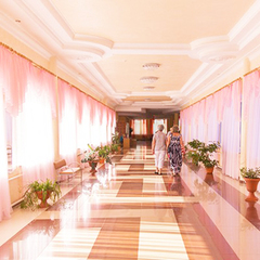 Санаторий Приднепровский, Гомельская область