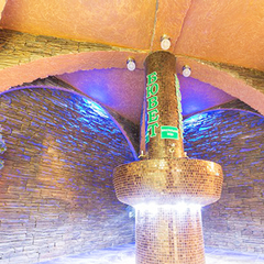 Санаторий Приднепровский, Гомельская область