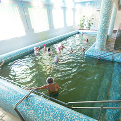 Санаторий Приднепровский, Гомельская область