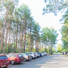 Санаторий Приднепровский, Гомельская область