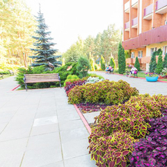 Санаторий Приднепровский, Гомельская область