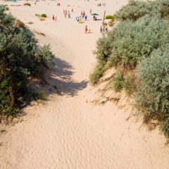 Пансионат Веста, Анапа, Краснодарский край