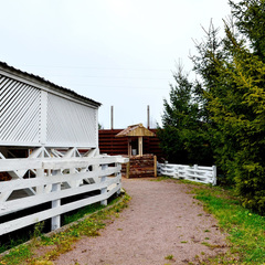 Парк-отель Сойкино, Ленинградская область