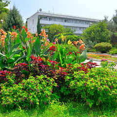 Пансионат Крымское Приазовье, Крым