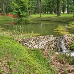 Санаторий Марфинский, район Мытищинский, Московская область