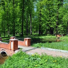Санаторий Марфинский, район Мытищинский, Московская область