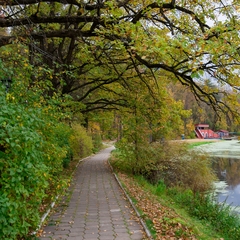 Санаторий Марфинский, район Мытищинский, Московская область
