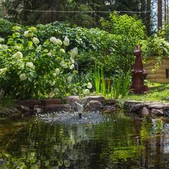 Спортивно-туристический комплекс Ягодная деревушка, Семенов, Нижегородская область