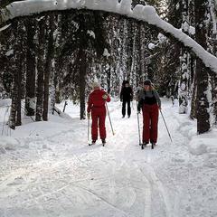 Спортивно-туристический комплекс Ягодная деревушка, Семенов, Нижегородская область
