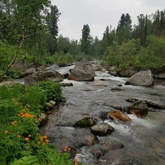 Коттедж Green Forest, Республика Хакасия