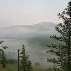 Коттедж Green Forest, Республика Хакасия