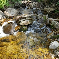 Коттедж Green Forest, Республика Хакасия