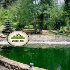 Гостиница WoodLand hotel, Архыз, Республика Карачаево-Черкесия