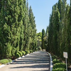 Санаторий Понизовка, Ялта, Крым