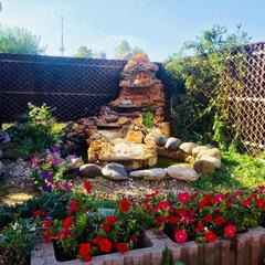 Гостевой дом Стрекоза, Абинск, Краснодарский край