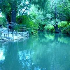 Гостевой дом Радуга, Абрау-Дюрсо, Краснодарский край