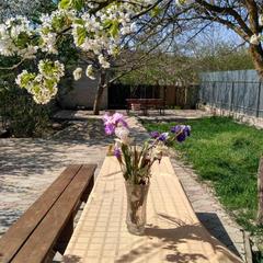 Гостевой дом Людмила, Абрау-Дюрсо, Краснодарский край