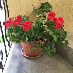 Гостевой дом Анита, Агой, Краснодарский край